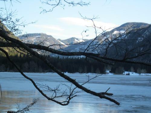 Apartamento Ferienwohnung Moser Am See