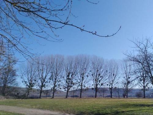 Haus Himmelblick