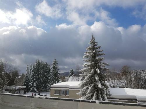 Apartamento Weitblick