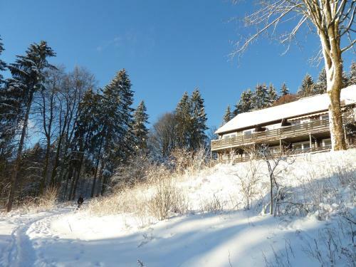 Apartamento Fewo Waldblick