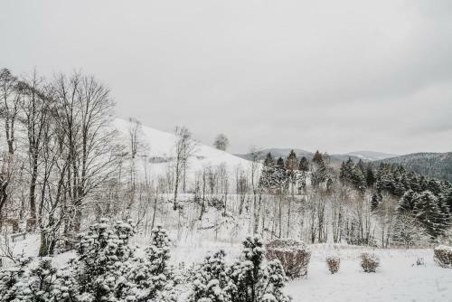 Apartamento Bergschwalbe St. Andreasberg