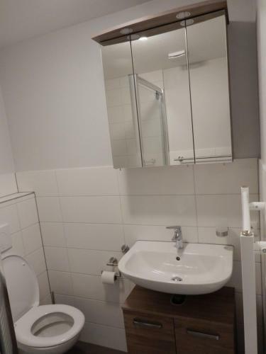 F�nf Harzer Berge Ferien Apartments