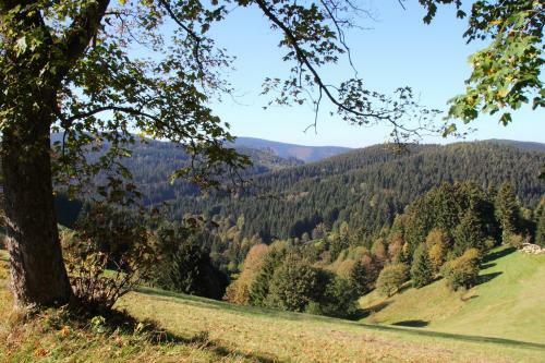 Harzhuisje - Sankt Andreasberg