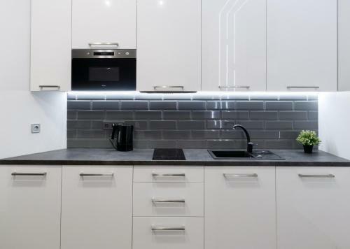 Exciting Apartment Lviv Fireplace