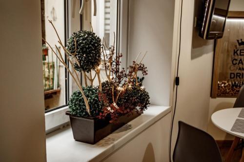 Loft Apartment