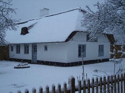 Apartamento Fischerkate Detlefsen