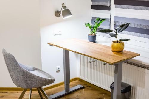 Apartamento New Large 2 Bedroom In Lviv Historic Centre