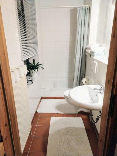 Apartamento Piratennest