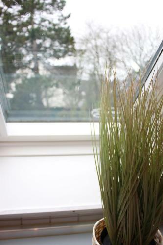 Apartamento Schmuck Un Fien