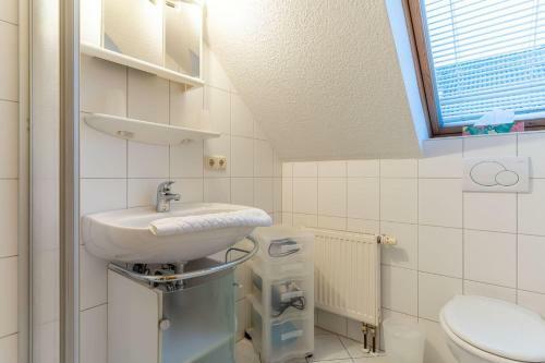 Achter-n-poggendiek-spatzennest-og
