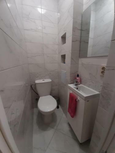 Apartment In Serbska Lviv