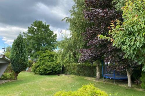 Balsam F�r Die Seele