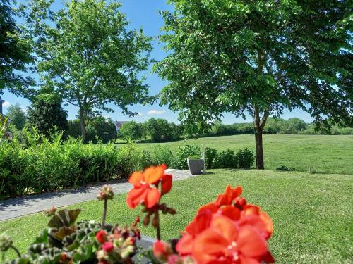 Apartmenthaus "g�stehaus Callsen"