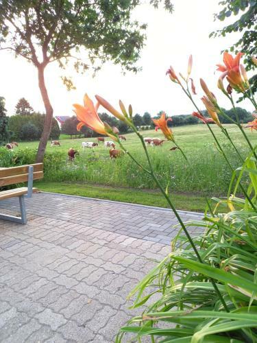 Apartmenthaus "g�stehaus Callsen"