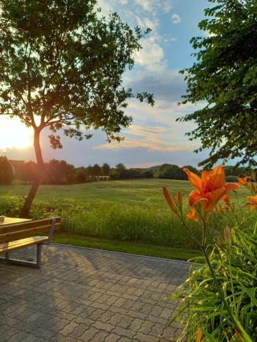 Apartmenthaus "g�stehaus Callsen"