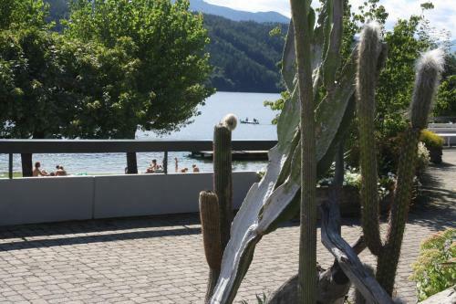 Apartamento Ferienwohnung Domitian