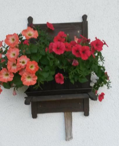 Agroturismo Waldsch�nau