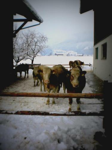 Agroturismo Waldsch�nau