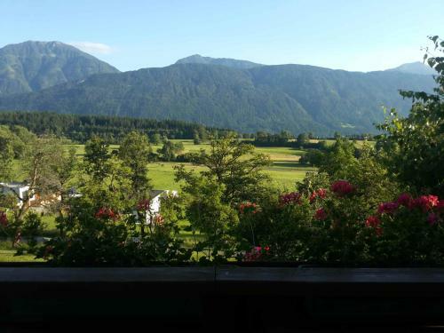 Apartamento Ferienhaus Warmuth