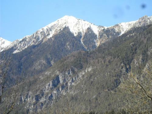 Apartamento Ferienhaus Warmuth