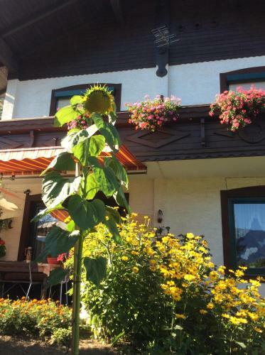 Apartamento Ferienwohnung Gerti Kalt