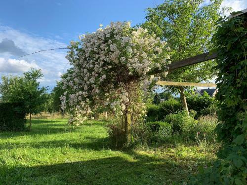 Apartamento Appartment Am K�nigsberg, L�ssau