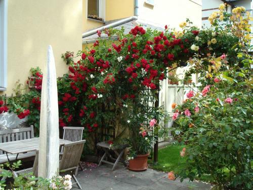 Apartamento Moderne Fewo Schieke