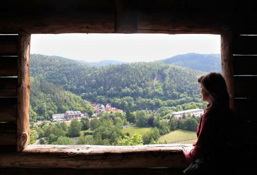 Apartamento Pension 'am Vogelherd'