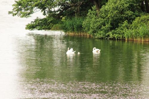 Ferienhaus Direkt Am Schmalensee