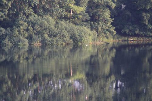 Ferienhaus Direkt Am Schmalensee