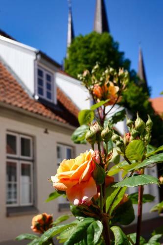 Stadthaus Rothensande