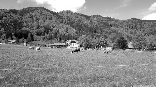 Bed & Breakfast S�quartier Am Schliersee