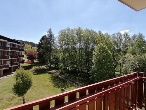 Apartamento Schluchsee Ferienwohnung 1415
