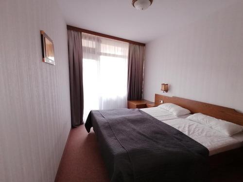 Apartamento Schluchsee Ferienwohnung 1415
