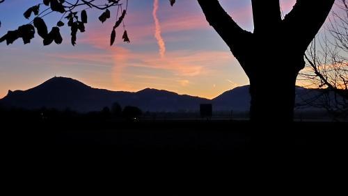 Hostal Gasthof Rupertigau