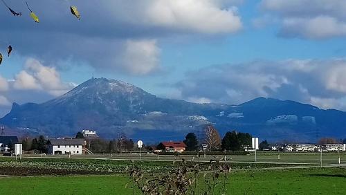 Hostal Gasthof Rupertigau