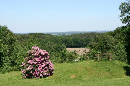 Berghotel Hohe Mark