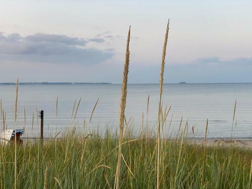 Apartamento Casa Raphael Direkt Am Scharbeutzer Strand