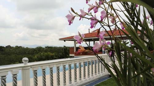 Finca Para Eventos La Linda