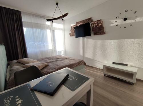 Apartamento Schluchsee Ferienwohnung 22010