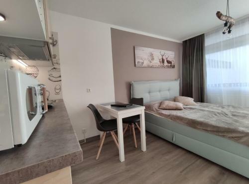 Apartamento Schluchsee Ferienwohnung 22010