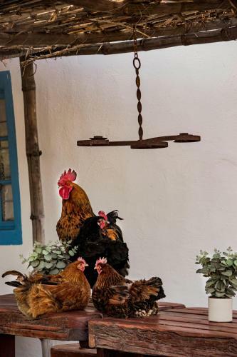 Cindy Se Huisie In Merweville