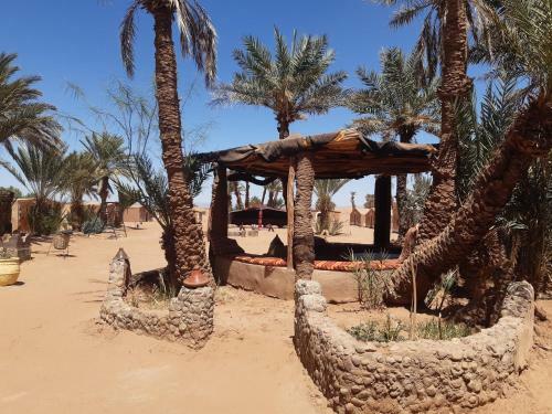 Bed & Breakfast Camp Mhamid Sahara Tours