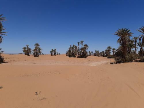 Bed & Breakfast Camp Mhamid Sahara Tours