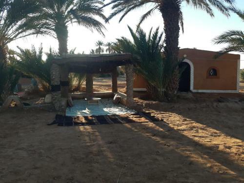 Bed & Breakfast Camp Mhamid Sahara Tours