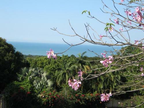 Apartamento Raphia On Sea
