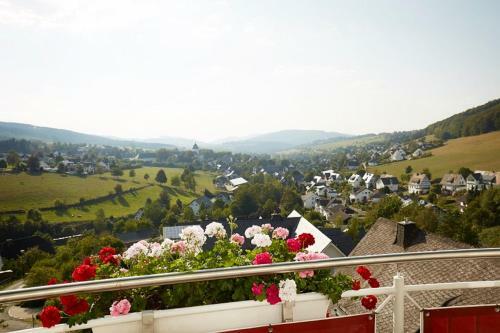 Hostal Pension Und Ferienwohnung Sch�tte