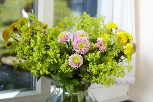 Hostal Pension Und Ferienwohnung Sch�tte