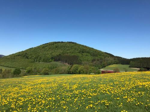 Hostal Pension Und Ferienwohnung Sch�tte