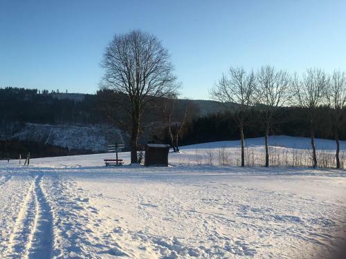 Hostal Pension Und Ferienwohnung Sch�tte